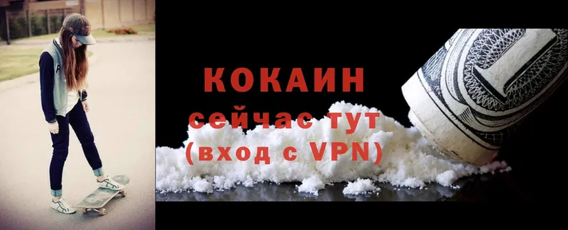 где найти   Миньяр  Cocaine Боливия 